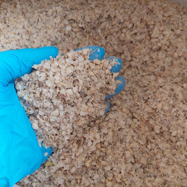 Soybean Hull / Husk