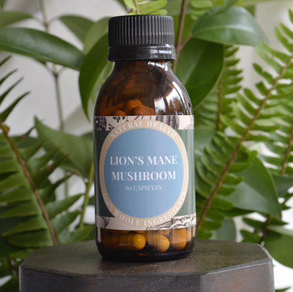 Lion's Mane - Capsules