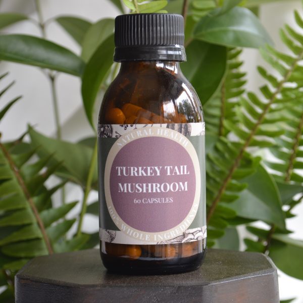 Turkey Tail - Capsules