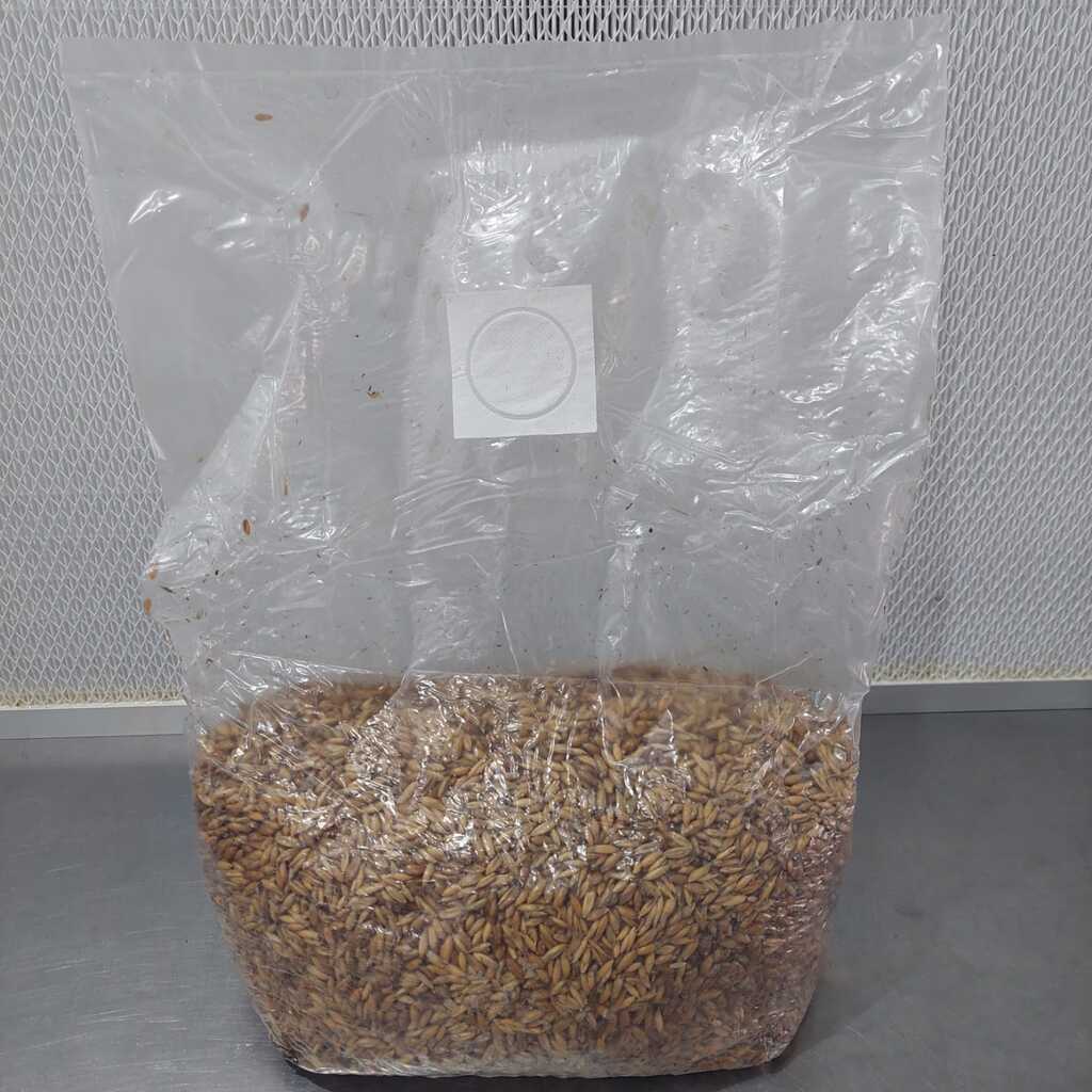 Sterilised Oat Spawn