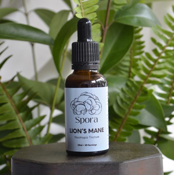 Lion's Mane Tincture - 30ml