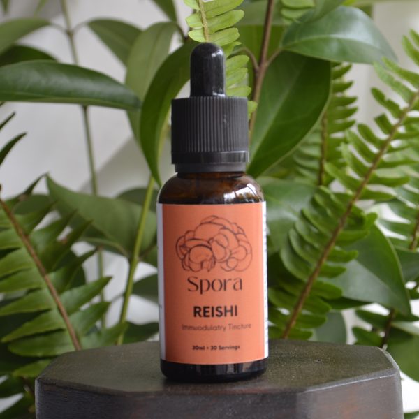 Reishi Tincture - 30ml
