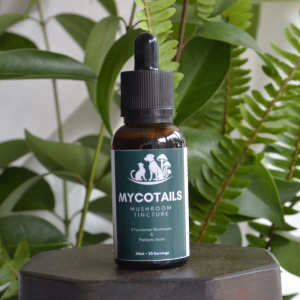 MycoTails Tincture - 30ml