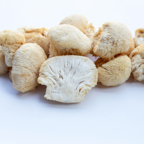 Lion's Mane Tincture - 1L